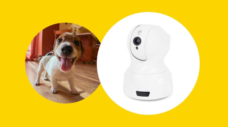 контроль камера