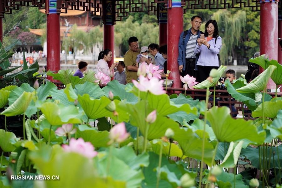 лотос_Китай