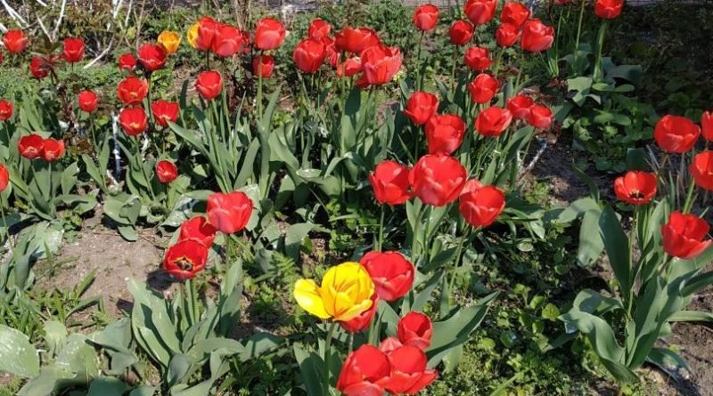 погода Днепр