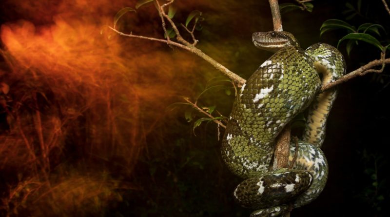 лучшие фото природы 2019