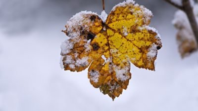 На Дніпропетровщину насувається негода