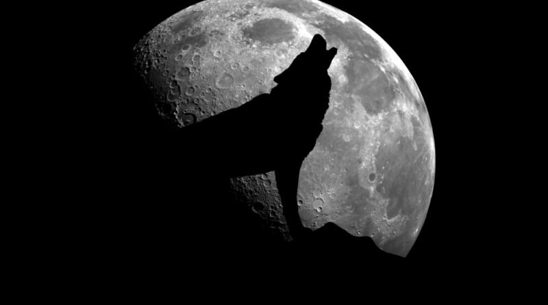 полнолуние