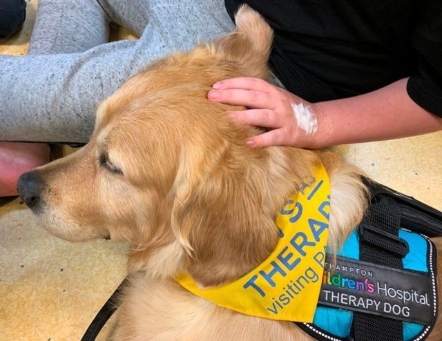 Собака исцелила ребенка