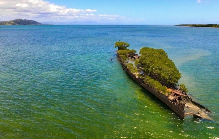 судно_мангровый лес