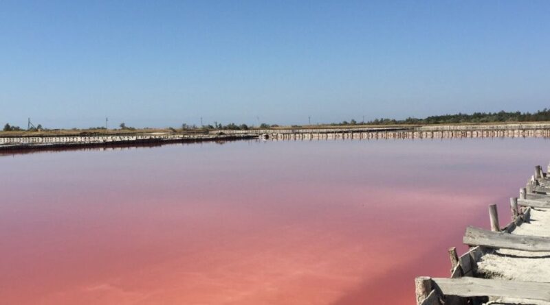 розовое озеро