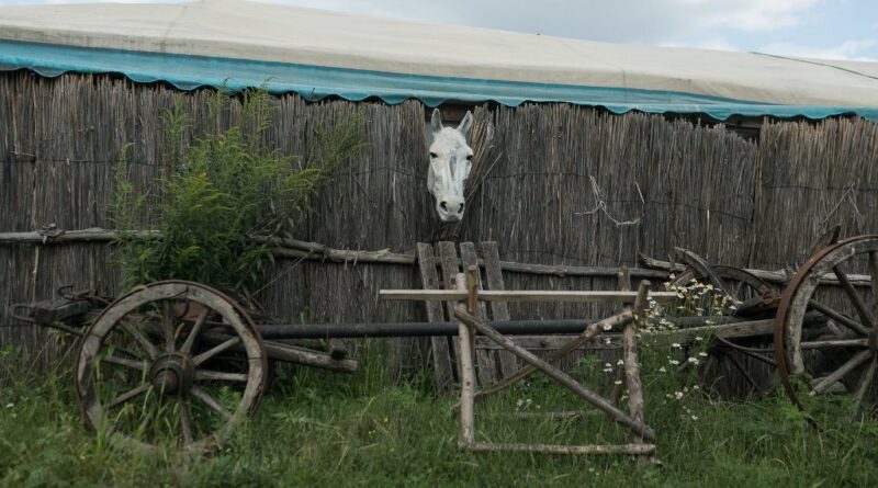 фестиваль уличной фотографии