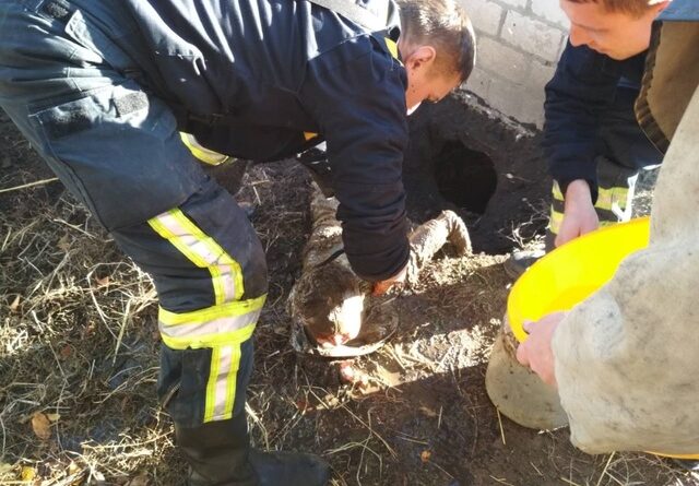 спасение ребенка_Кринички