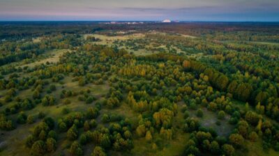 Чернобыльский заповедник