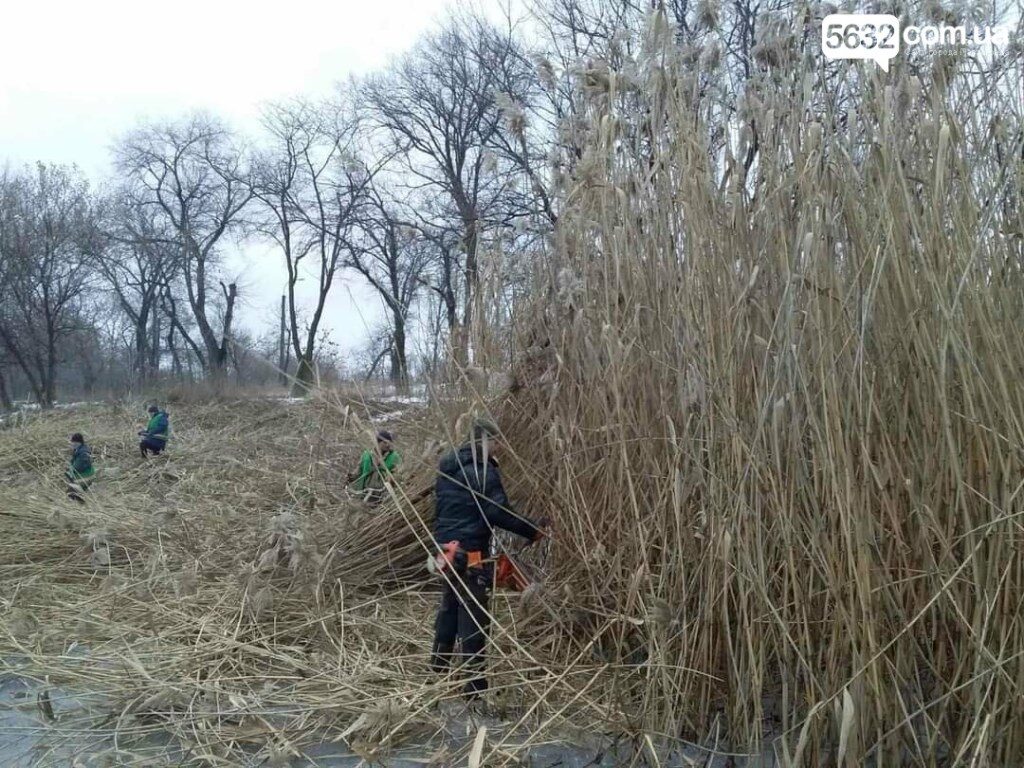 в павлограде расчитили речку Волчья