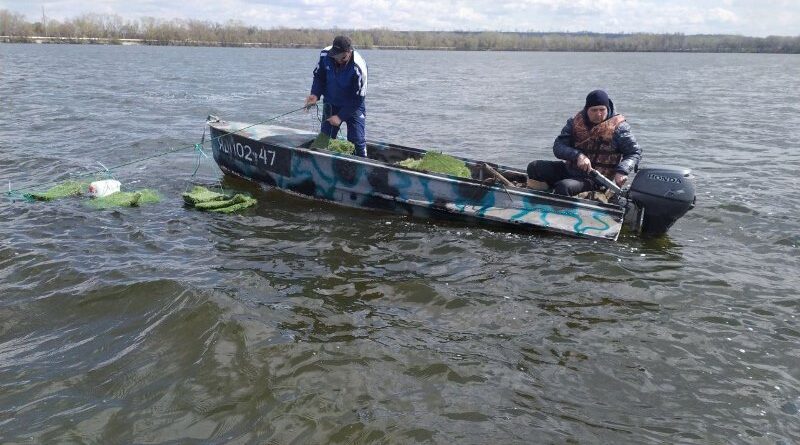 штучні нерестовища