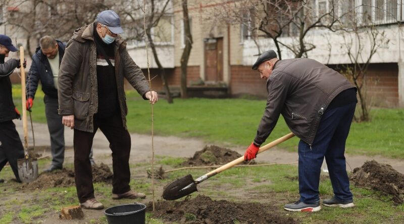 висадка дерев_Дніпро