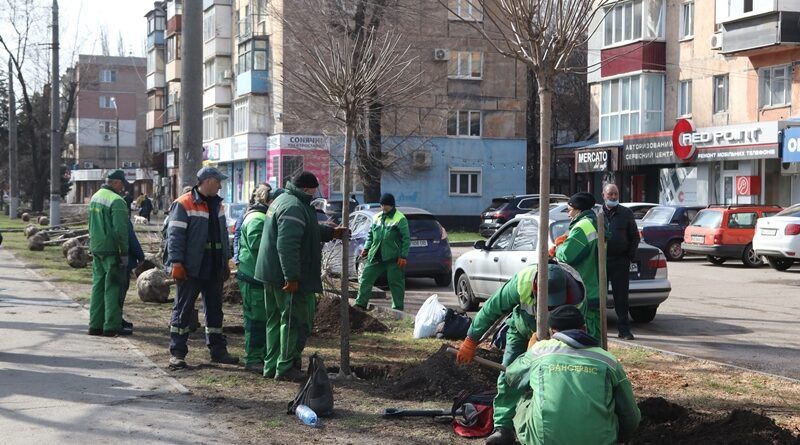 высадка деревьев_Кривой Рог