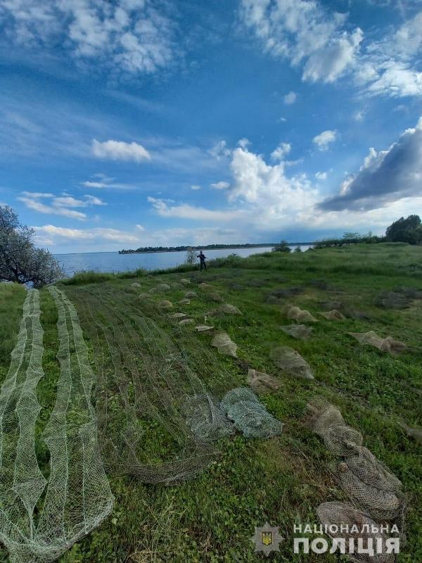 рибний патруль