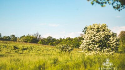 балка Канцерка_Дніпропетровська область
