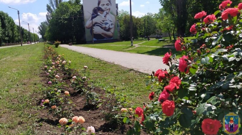 трояндова алея_Покров