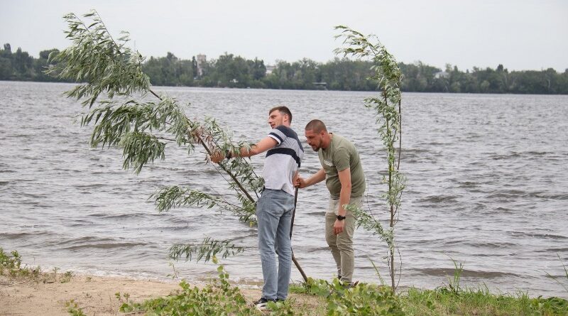 у Дніпрі висаджують вербу