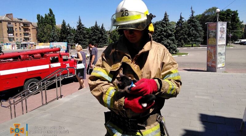 кіт_Нікополь