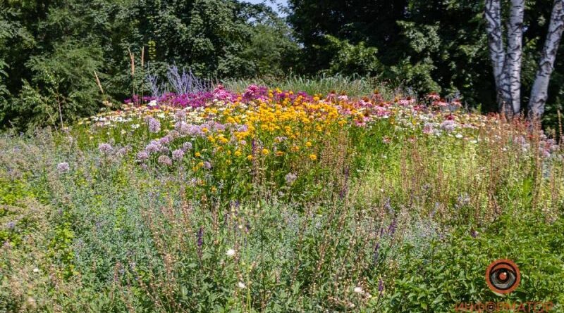 парк Зеленый Гай_Днепр