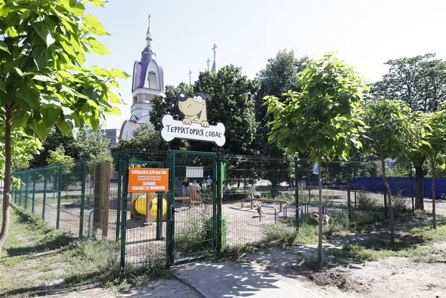 площадка для выгула собак_Днепр