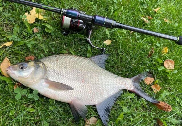 фестиваль рыбной ловли