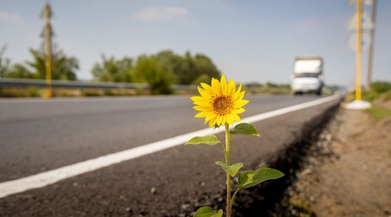 трасса Днепр-Павлоград