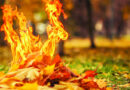 листья_огонь