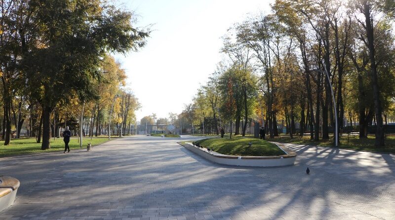 парки Дніпра готують до зими