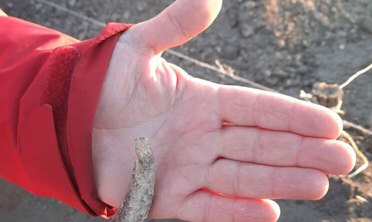 древний инструмент_назодка археологов