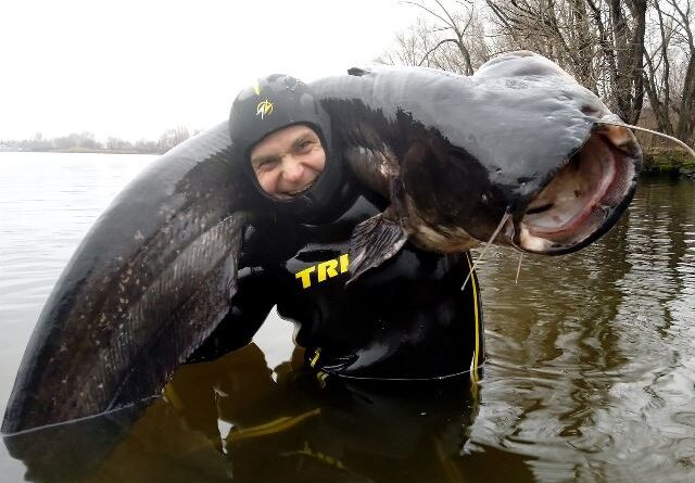 Александр Громадский_сом