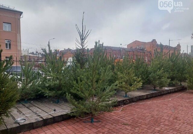 место для прогулок_Днепр