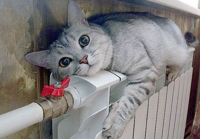 Отопительный сезон