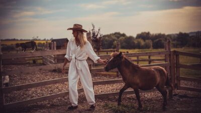 Відродження фермерства під час війни: історія «Зеленого гаю»