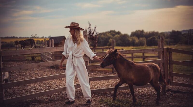 Відродження фермерства під час війни: історія «Зеленого гаю»