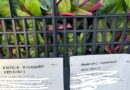 Держпродспоживслужба_небезпечні рослини