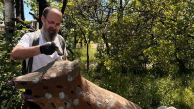 фігурки тварин_житловий масив Північний