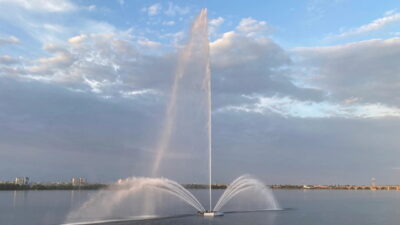 фонтан Білий лебідь_Дніпро
