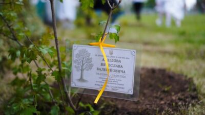 висадка дерев_Підгородне