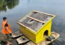 будиночки для водоплавних птахів_Самар