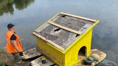 будиночки для водоплавних птахів_Самар