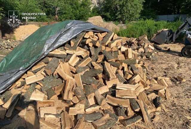 вирубка лісу_Дніпропетровщина