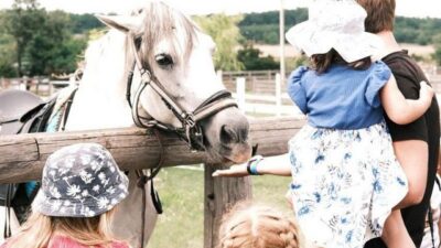 Реабілітаційний центр Зелений Гай_Підгородне
