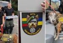 машина для пошукового загону_Павлоград