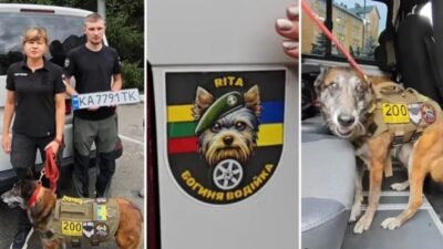 машина для пошукового загону_Павлоград