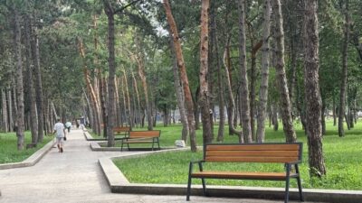 У парках і скверах Дніпра покращують умови для відпочинку У парках і скверах Дніпра покращують умови для відпочинку