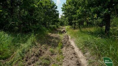 захист лісів_Дніпропетровщина