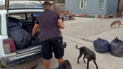 допомога тваринам_Нікополь