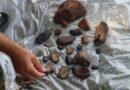 козацьке поселення_Діпропетровщина