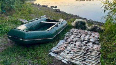 На Дніпропетровщині виявили масштабний незаконний вилов риби На Дніпропетровщині виявили масштабний незаконний вилов риби