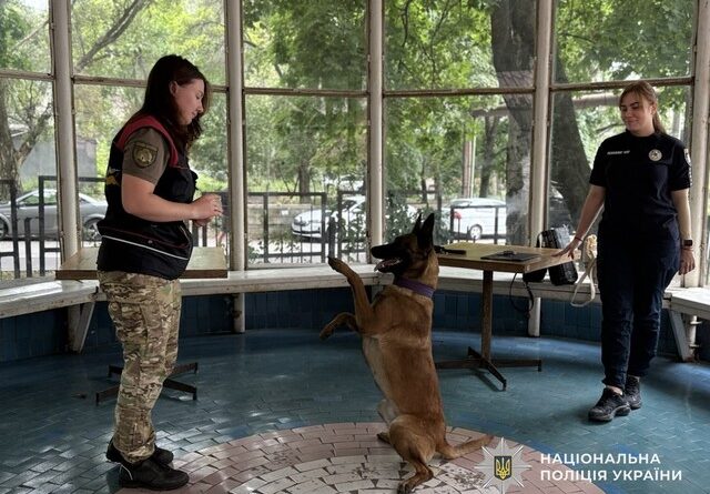 зустріч зі службовими собаками_Дніпро