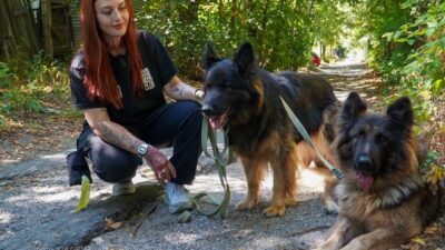 Військова медикиня з 128-ї бригади під час відпустки рятує покинутих тварин Військова медикиня з 128-ї бригади під час відпустки рятує покинутих тварин